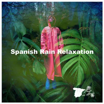 Spanish Rain Relaxation by Rain In Spain