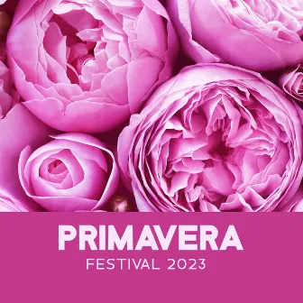 Primavera Festival 2023 – The Hottest Sounds From Barcelona by Spring Jazz Club