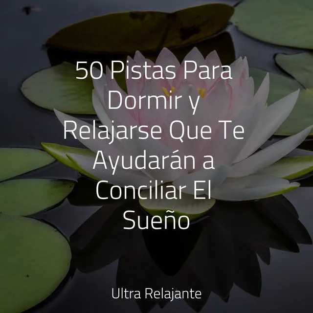 50 Pistas Para Dormir y Relajarse Que Te Ayudarán a Conciliar El Sueño