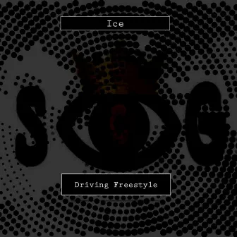 Driving Freestyle by Ice