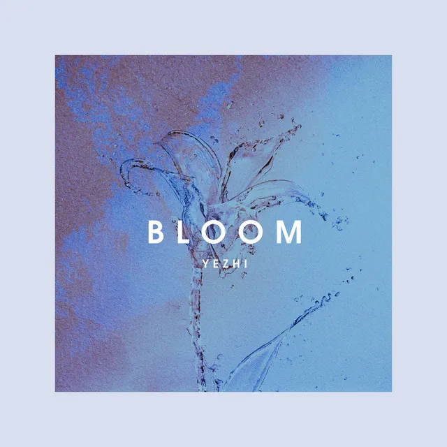 Bloom