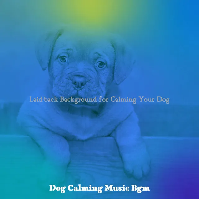 Sultry Moods for Relaxing Your Dog