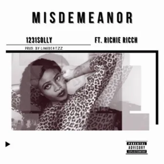 Misdemeanor by 1231 Solly