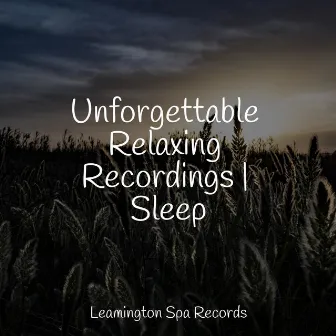 Unforgettable Relaxing Recordings | Sleep by Yoga Sounds