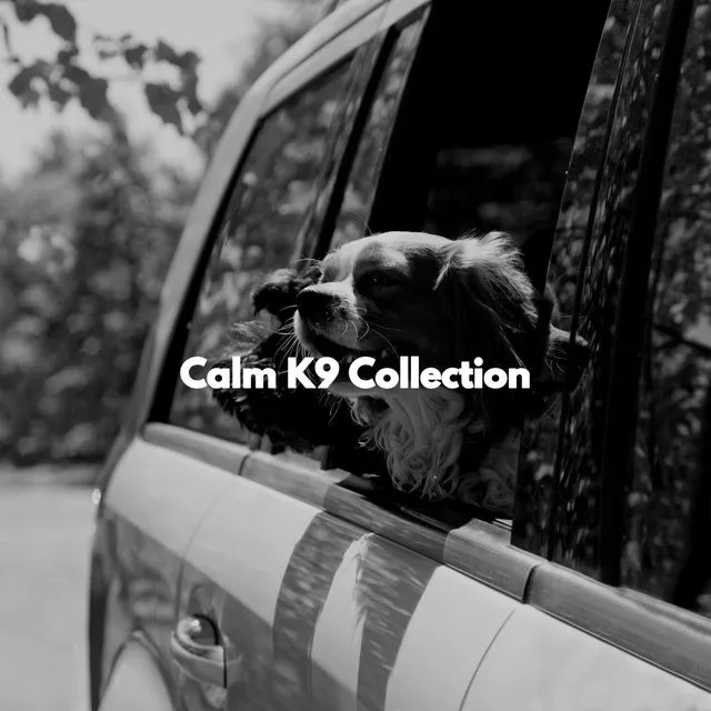 Calm K9 Collection