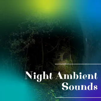 Night Ambient Sounds by Forest at Night Sounds