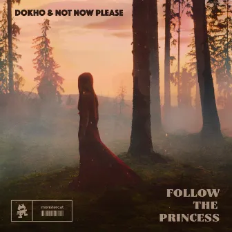 Follow The Princess by Not Now Please