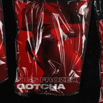 Gotcha by MGS FrozEX