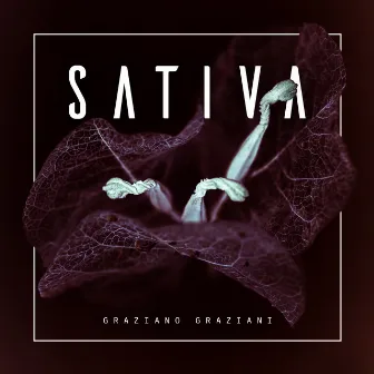 Sativa by Graziano Graziani