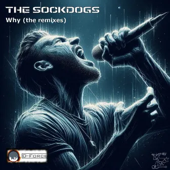 Why (The Remixes) by The Sockdogs