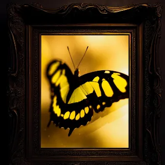 What about this butterflies by Erick James