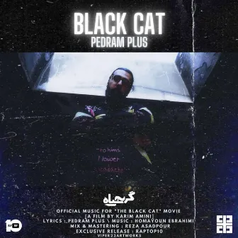 Black Cat by Pedram Plus