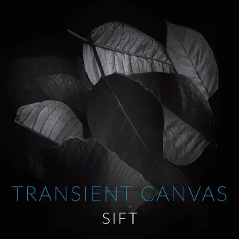 Sift by Transient Canvas