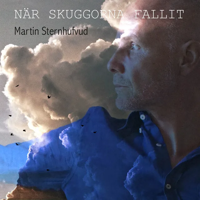 När skuggorna fallit