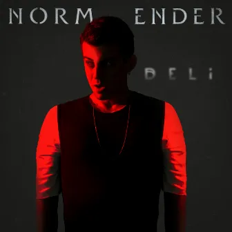 Deli by Norm Ender