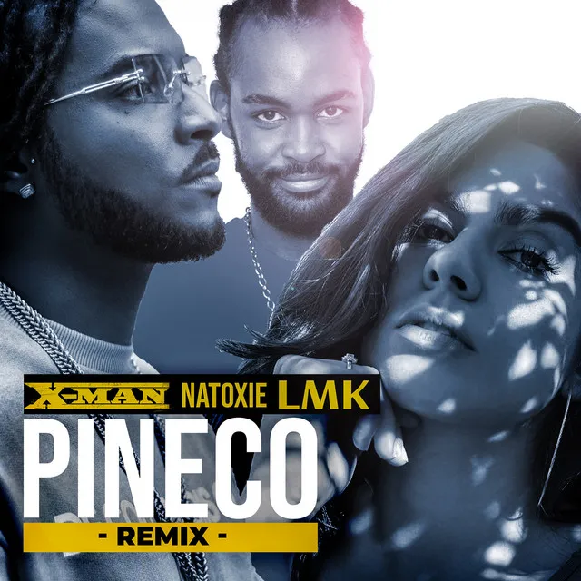 Pineco (Remix)