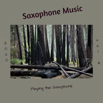 Playing the Saxophone, Vol. 4 by Saxophone Music