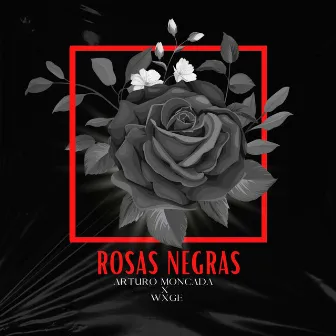 Rosas Negras by WXGE