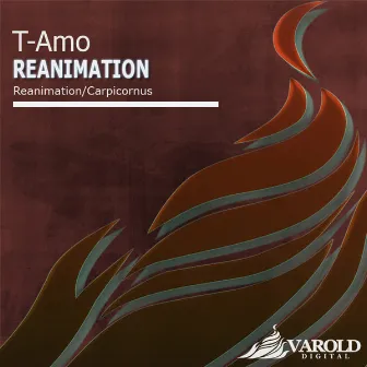 Reanimation by T-Amo