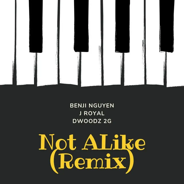 Not Alike - Remix