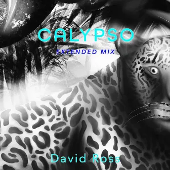 Calypso (Extended Mix) by David Ross