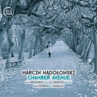 Chamber Avenue (Live) by Marcin Wądołowski