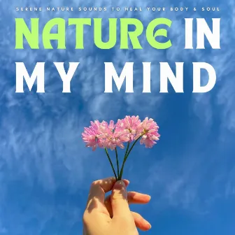 Nature In My Mind: Serene Nature Sounds To Heal Your Body & Soul by Meditation for Healing