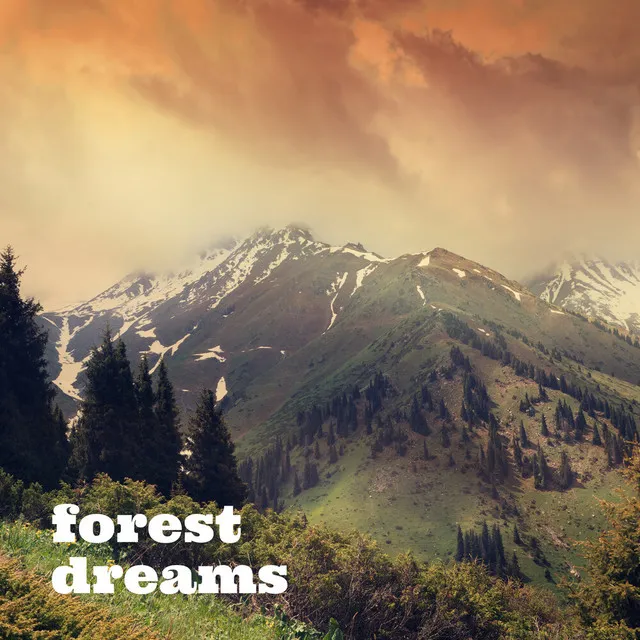 Forest Dreams