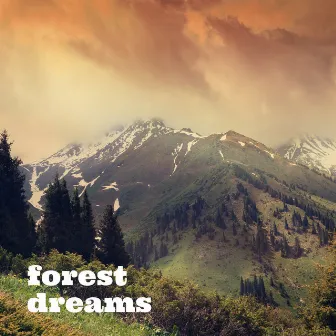 Forest Dreams by Forest Dreams