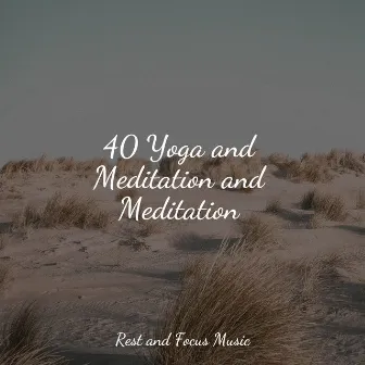 40 Yoga and Meditation and Meditation by Childrens Music