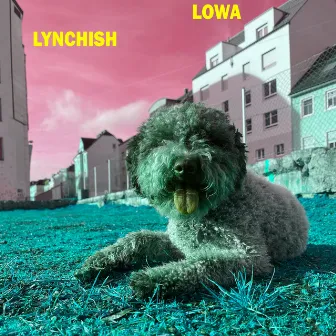 Lynchish by Lowa