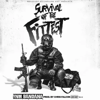 Survival of the Fittest by Ynm Bandana