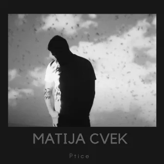 Ptice by Matija Cvek