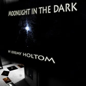 Moonlight In The Dark by Jeremy Holtom