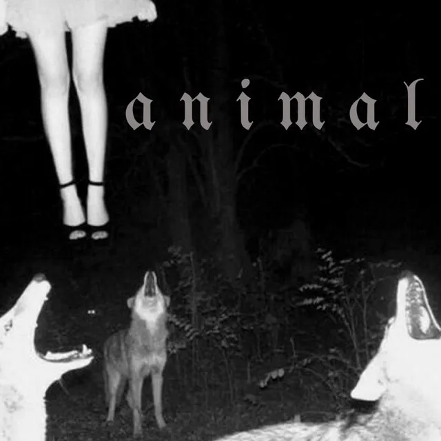 Animal