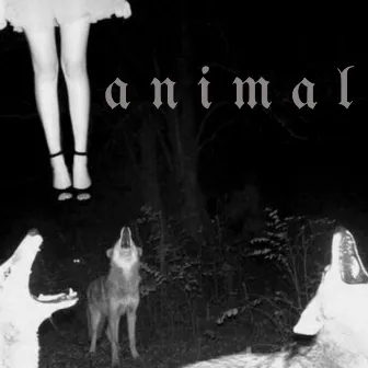 Animal by PIKE