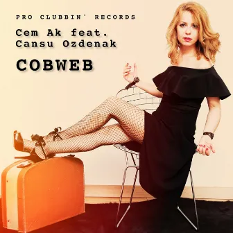 Cobweb by Cem Ak