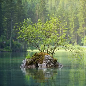 20 Meditative Rain Sounds by Yoga