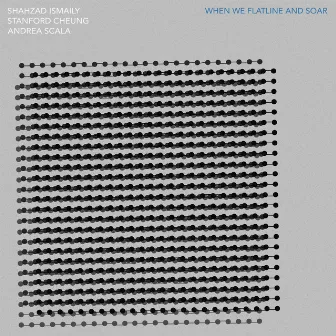 When we Flatline and Soar by Shahzad Ismaily