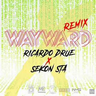 Wayward by Ricardo Drue