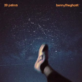 29 Palms (Deluxe) by bennytheghost