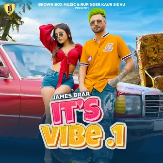 It's A Vibe, Vol. 1 by James Brar