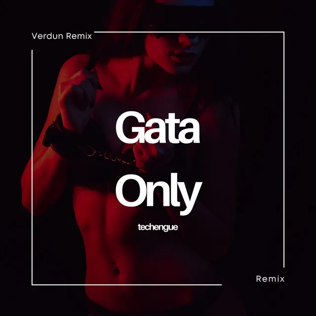 Gata Only (Techengue) - Remix