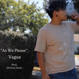 As We Please by Vague