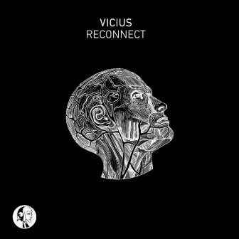 Reconnect by Vicius (BR)