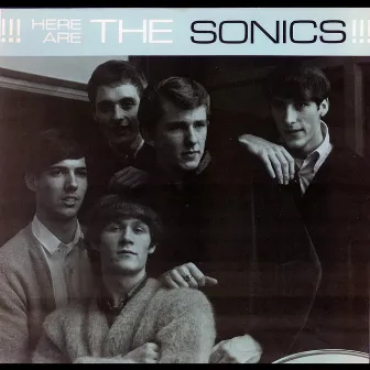 Have Love Will Travel by The Sonics