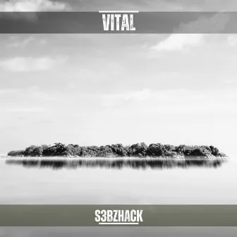 Vital by s3bzHack