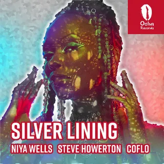 Silver Lining by Niya Wells