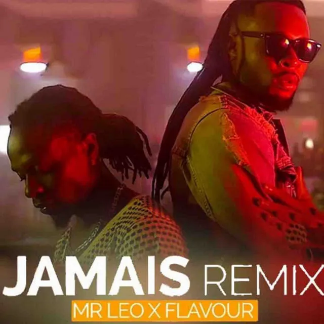 Jamais Jamais - Remix