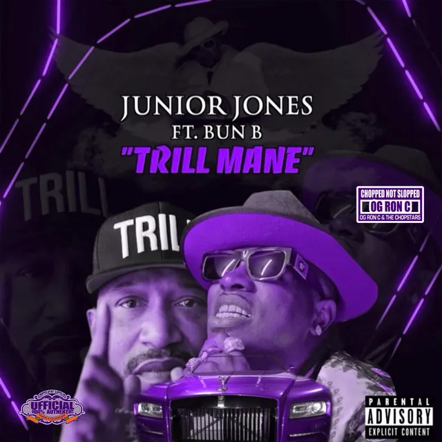 Trill Mane (feat. Bun B & OG Ron C & the ChopStars) - Chopped Not Slopped